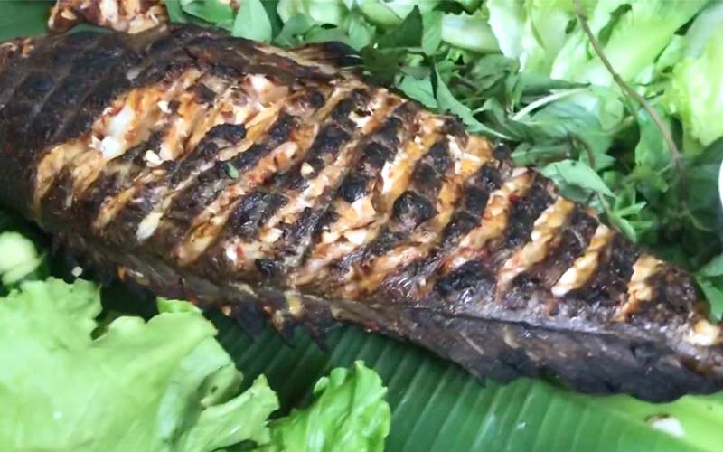 Cá mú nướng sa tế